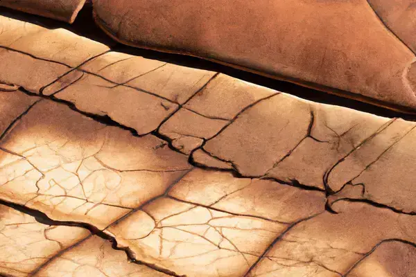 Como Interpretar Os Tipos De Craquelado No Couro Vegetal