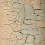 Como Reconhecer Um Craquelado Esteticamente Nobre