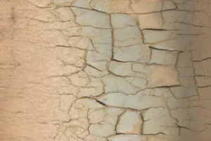 Como Reconhecer Um Craquelado Esteticamente Nobre